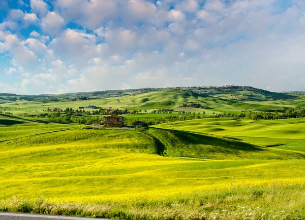 Hermosos Colores Primavera Prados Toscana — Foto de Stock