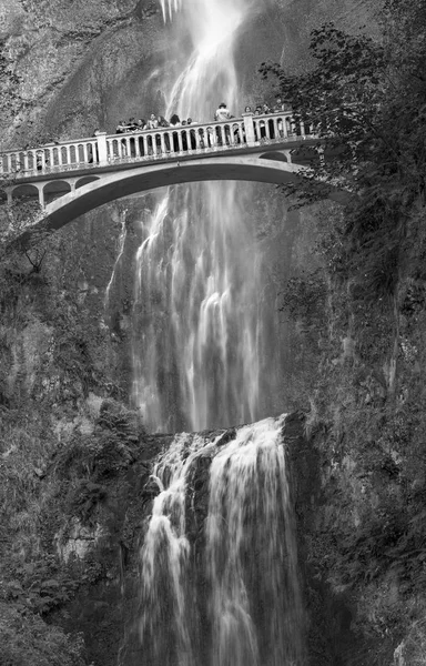 Oregon Nekünk 2017 Augusztus Turista Látogat Multnomah Falls Híres Látványosságok — Stock Fotó