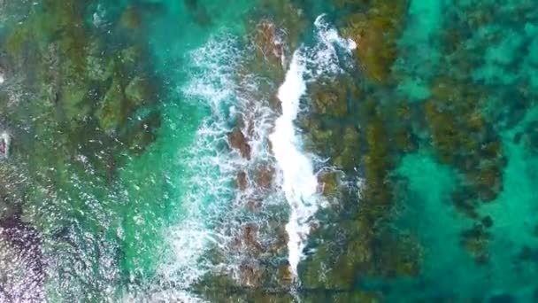 Plage Tropicale Incroyable Côte Océan Vidéo — Video