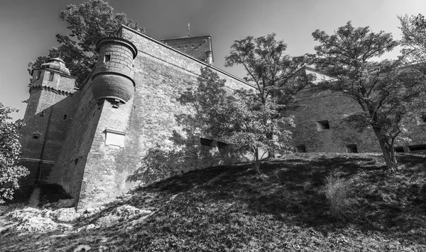 Краків Польща Замок Вавель Прекрасний Сонячний День — стокове фото