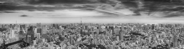 Tóquio Pôr Sol Vista Aérea Bonita Alta Resolução — Fotografia de Stock