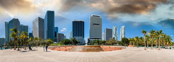 Hermoso Horizonte Miami Edificios Urbanos Rascacielos — Foto de Stock