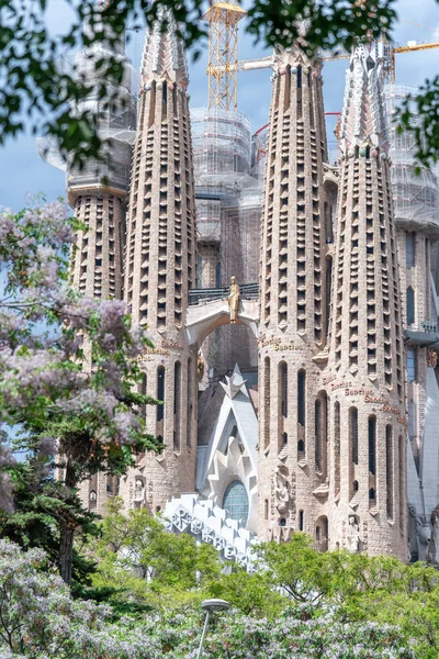 Sagrada Familia Барселоне Окружении Деревьев Испания — стоковое фото