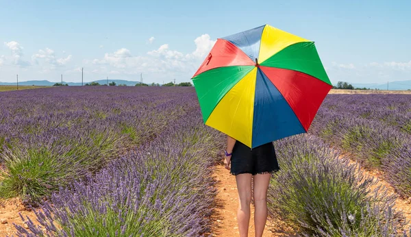 Visão Traseira Mulher Com Guarda Chuva Colorido Prado Lavanda — Fotografia de Stock