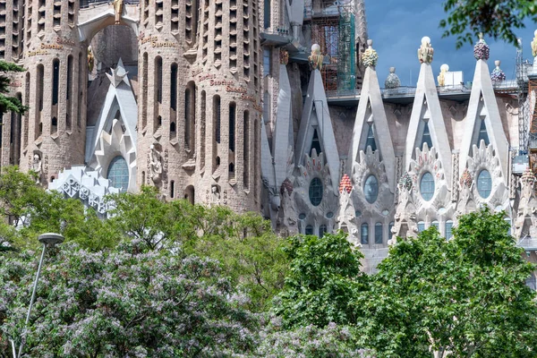 囲まれて木 スペイン バルセロナのサグラダ ファミリア — ストック写真