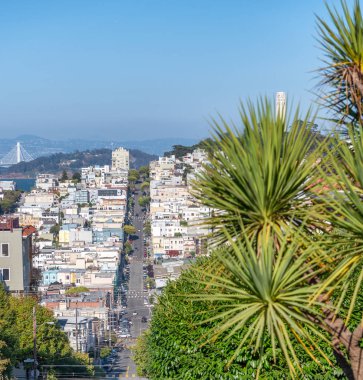 Lombard Street ve Rus Hill San Francisco şehir manzarası gün güneşli yaz ile.
