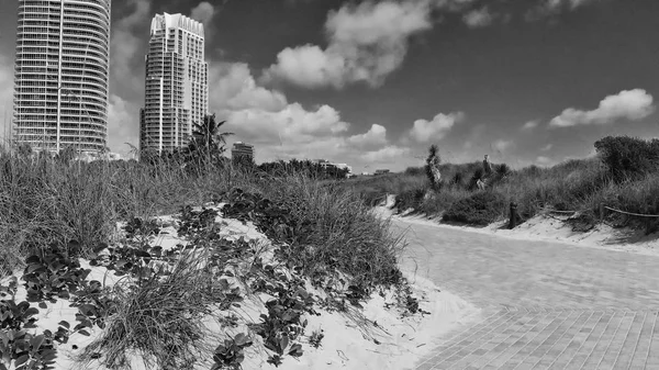 Vista Aérea Del Horizonte Miami Beach Desde South Pointe Park —  Fotos de Stock