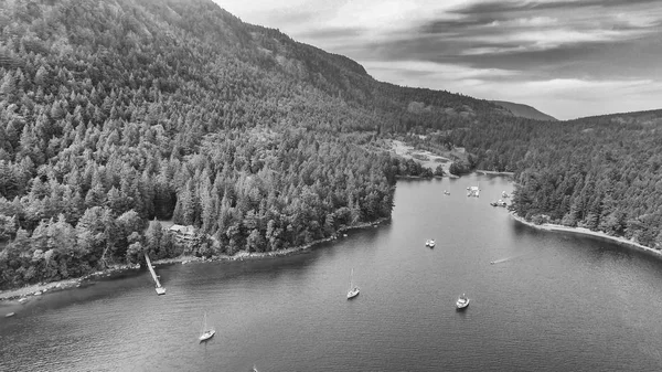Beautiful Aerial View Genoa Bay British Columbia Canada — Stock Photo, Image