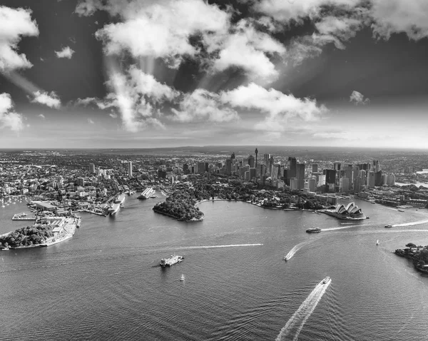 Sydney Harbor Şehir Manzarası Kraliyet Botanik Bahçeleri Avustralya Havadan Görünümü — Stok fotoğraf