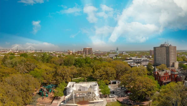 Flygfoto Över Forsyth Park Savannah Georgia — Stockfoto