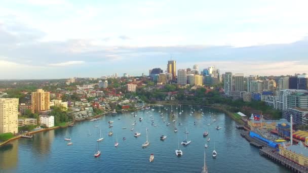 Sidney Liman Köprüsü Lavanta Bay New South Wales Avustralya Havadan — Stok video