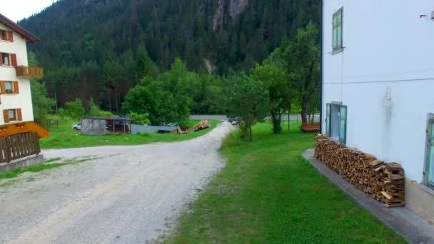 Vue Aérienne Belle Route Travers Forêt Vidéo — Video