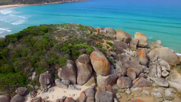 Sahil Wilsons Promontory Milli Parkı Victoria Avustralya Muhteşem Doğası — Stok video