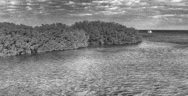 Mangrovlar ve okyanus, Key West - Florida - ABD havadan görünümü.