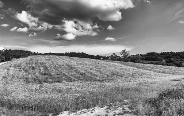 Toscana Italia Paisaje Rural Atardecer Prados Campo Campo Verde Luz — Foto de Stock