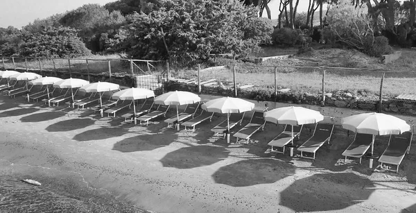 Вид Сверху Пляжные Зонтики Вдоль Побережья — стоковое фото
