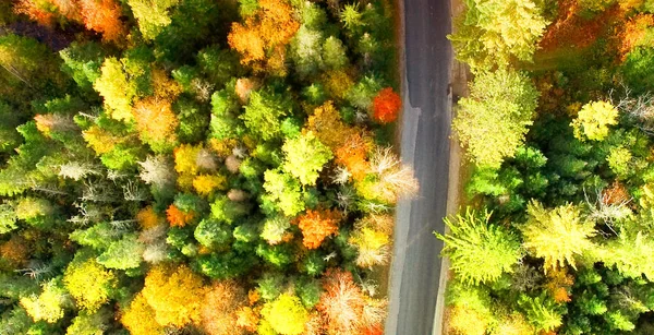 Hermosos Colores Del Follaje Nueva Inglaterra Vista Aérea Pájaro — Foto de Stock