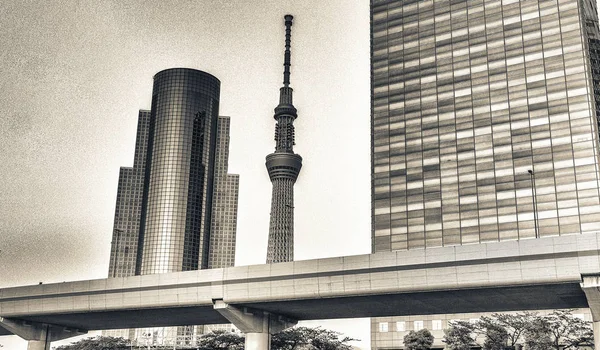 Tóquio Japão Ponto Vista Rio Sumida Para Ver Marco Torre — Fotografia de Stock