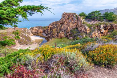 Big Sur, California güzel kıyı şeridi manzara yaz sezonu.
