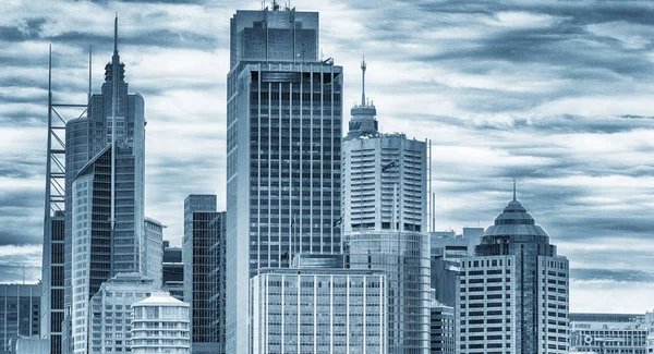 Skyline Van Sydney Zwart Wit — Stockfoto