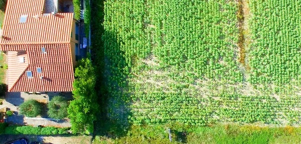 Casas Montaña Vista Aérea — Foto de Stock