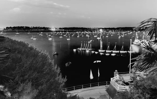 Bateaux Dans Port Vue Depuis Littoral Avec Arbres Océan — Photo