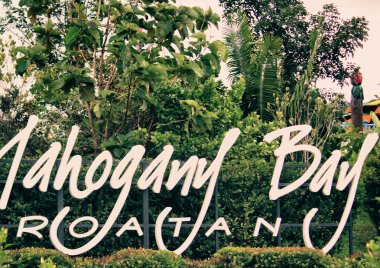 bitki örtüsü ve doğal olarak roatan, honduras