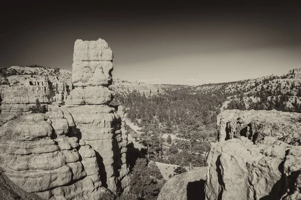 Red Canyon Skály Utah Usa — Stock fotografie