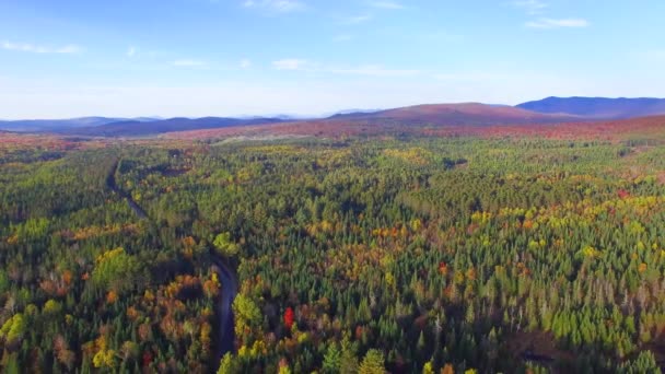 Vista Aérea Panorámica Del Colorido Bosque Otoño — Vídeo de stock