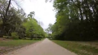 Bir yağmurlu günde, video Plantation sokak 