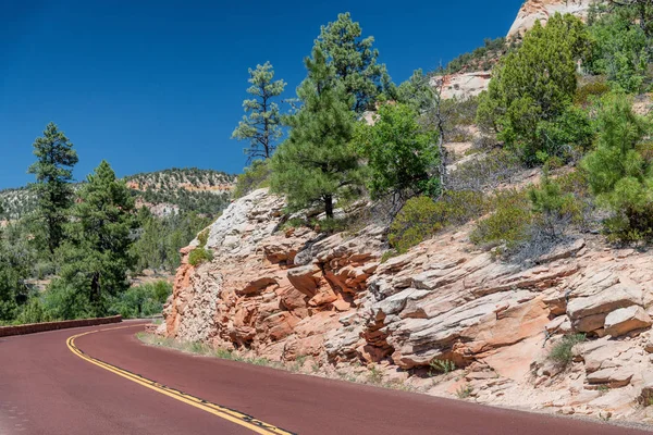 Strada Rossa Del Parco Nazionale Zion Utah — Foto Stock