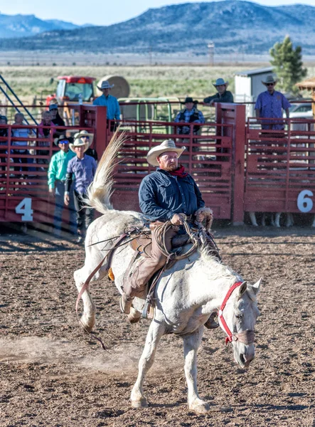 Bryce Canyon City Juni 2018 Cowboys Rida Sina Hästar Rodeo — Stockfoto