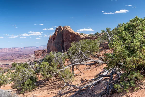 Canyonlands Milli Parkı Peyzaj Utah — Stok fotoğraf