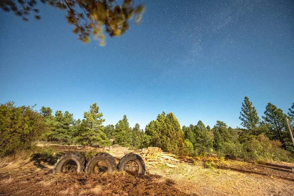 Truck tyres and forest environment with stars at night.