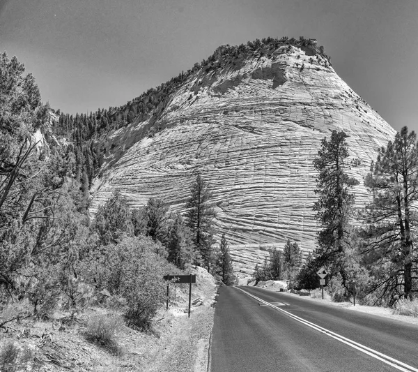 Rood Weg Bergen Van Nationaal Park Zion Utah — Stockfoto