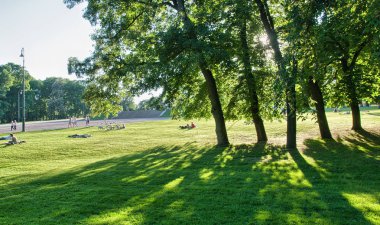 Oslo, Norveç. Güzel bahçeleri ve bitki yaz sezonu.