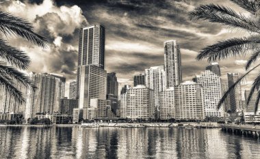 Brickell anahtar şehir Miami manzarası ve Binalar yansımaları. Avuç içi tarafından çerçeveli gökdelenler.