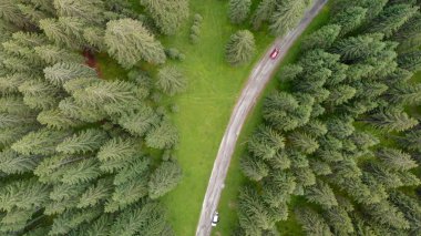 Yol boyunca ormanın genel gider dron görünümünden.