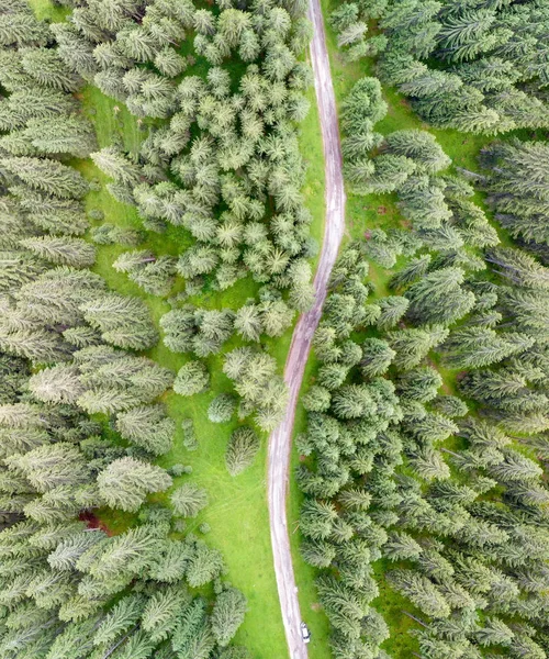 Vista Aérea Hacia Abajo Carretera Través Abetos Bosque — Foto de Stock