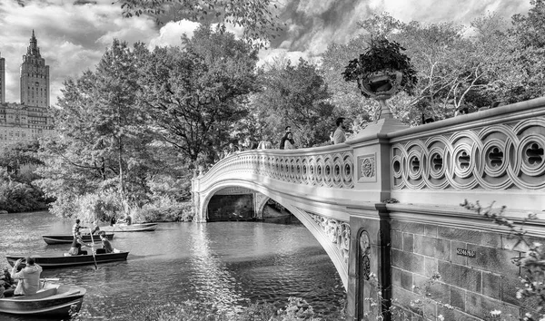 New York City Ottobre 2015 Vista Bianco Nero Central Park — Foto Stock