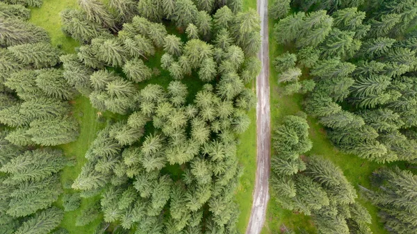 Droga Przez Las Widokiem Góry Dronów — Zdjęcie stockowe