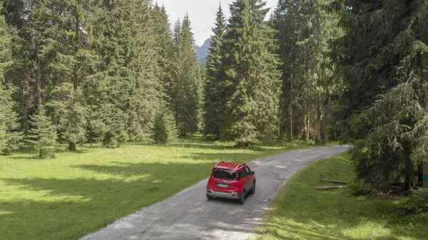 Red Car Driving Road Evergreen Forest — Stock Photo, Image