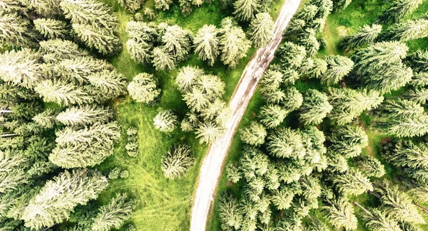 Estrada Através Floresta Vista Aérea Drone — Fotografia de Stock