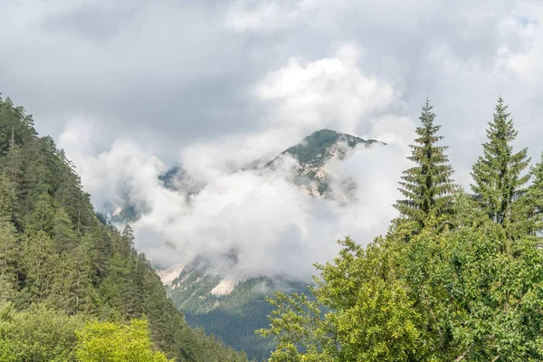 Красивые Горы Деревья Итальянских Альп — стоковое фото