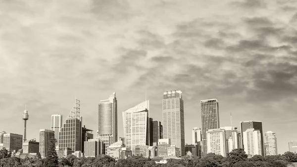 Lindos Skyline Preto Branco Sydney Austrália — Fotografia de Stock