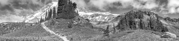 Stezka Letní Sezóně Mount Rainier National Park — Stock fotografie