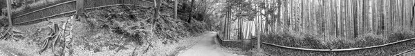 Kyoto Mai 2016 Touristes Dans Parc Forestier Bambou Kyoto Est — Photo