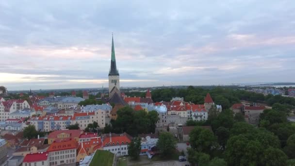 Vista Aérea Tallin Estonia Vídeo — Vídeos de Stock