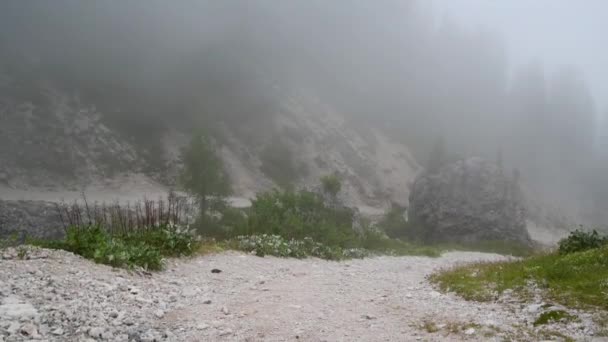 Riprese Panoramiche Una Bella Montagna Nebbiosa — Video Stock