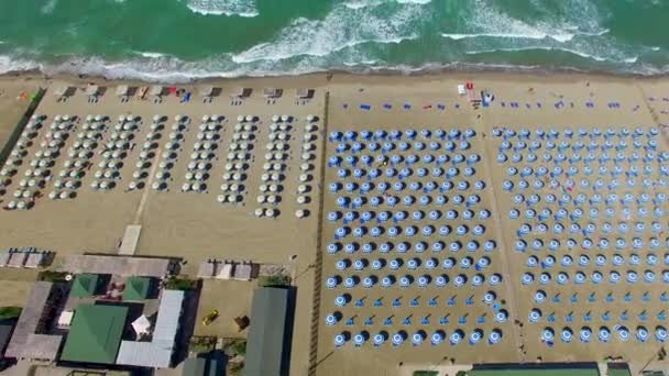 Vackra Flygfoto Solstolar Och Parasoller Längs Havet Video — Stockvideo